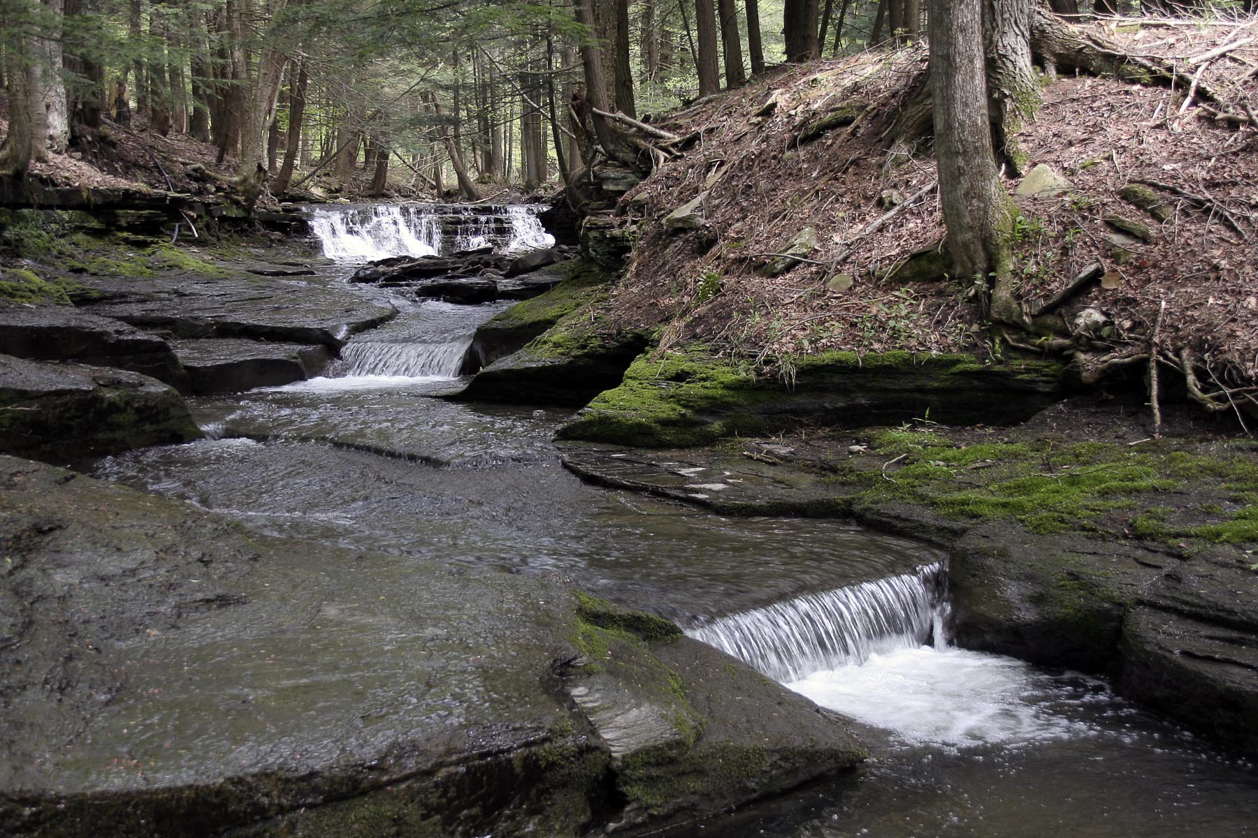 Russell Brook Falls Roscoe Dig The Falls