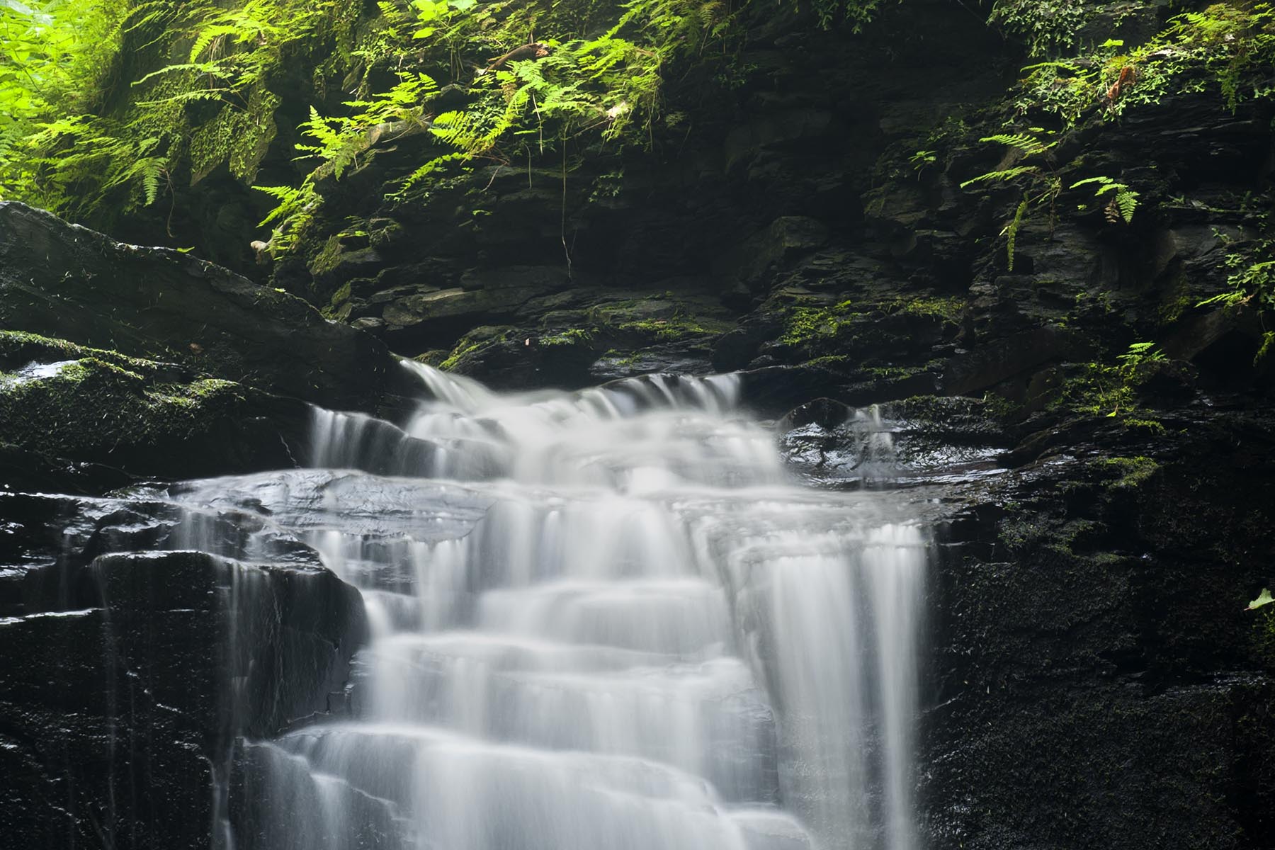 Where The Falls Roar And The Forest Whispers: Exploring Whetstone Gulf State Park