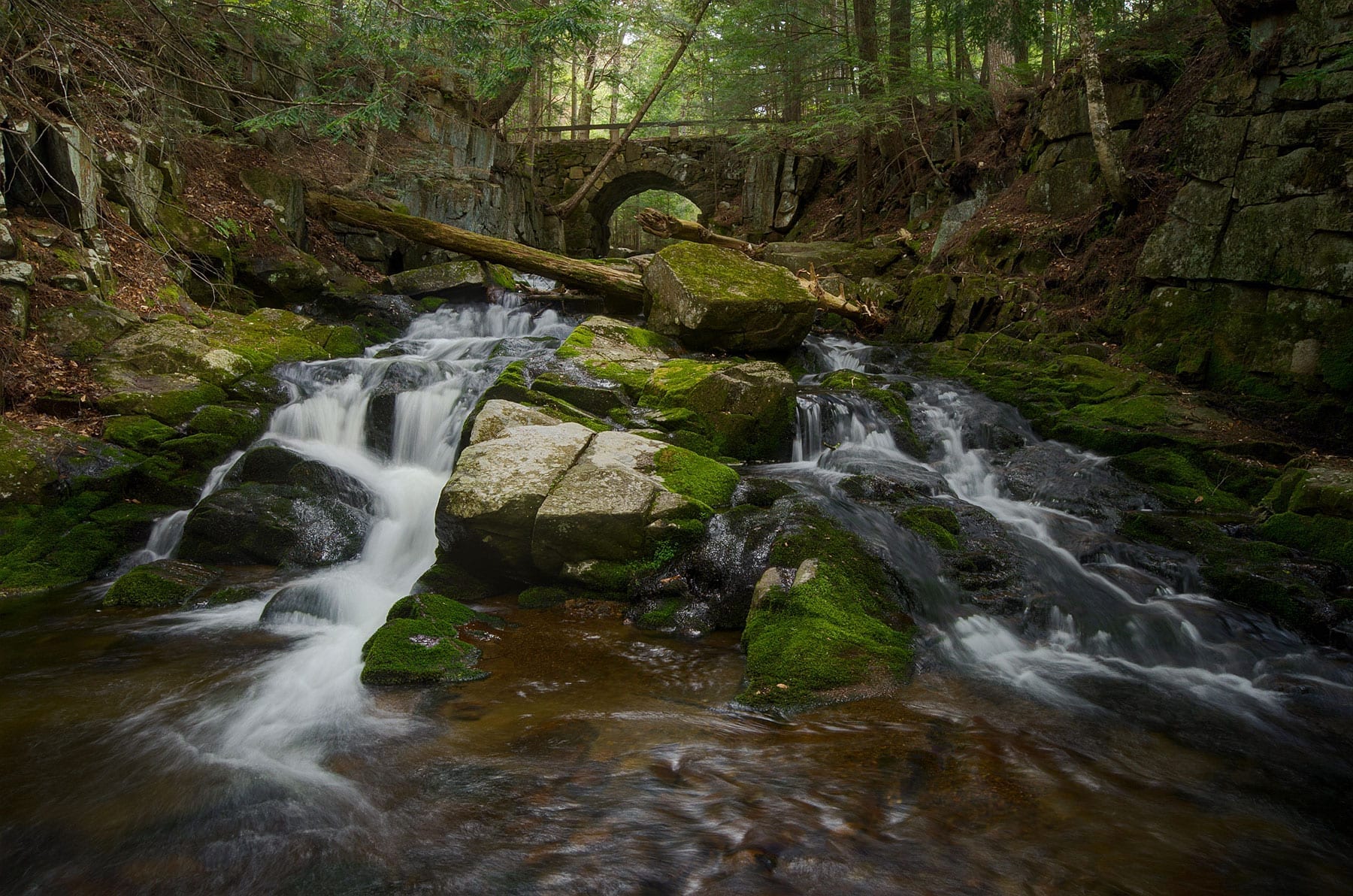 New York State Waterfalls and Trail Volunteers Dig The Falls