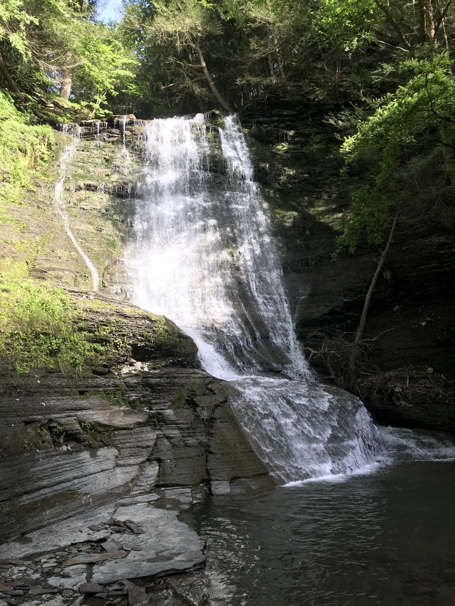 Reynolds Gully, Livingston County, New York | Dig The Falls