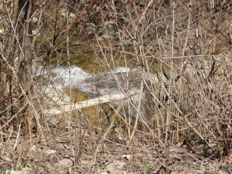 Coye Road Falls Jamesville, Onondaga Dig The Falls