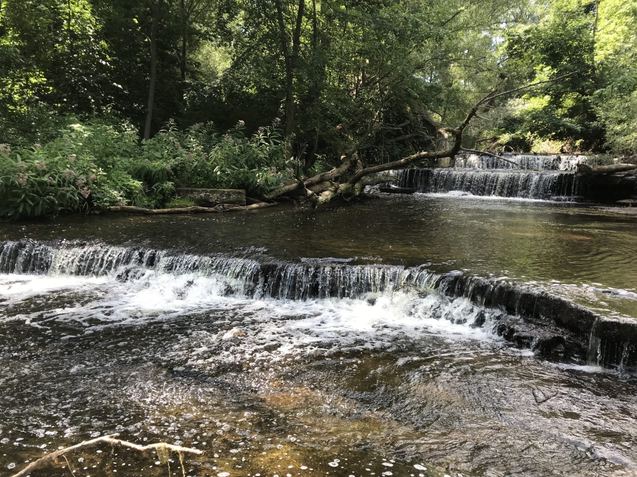 Maxwell Creek Falls - Sodus, Wayne | Dig The Falls